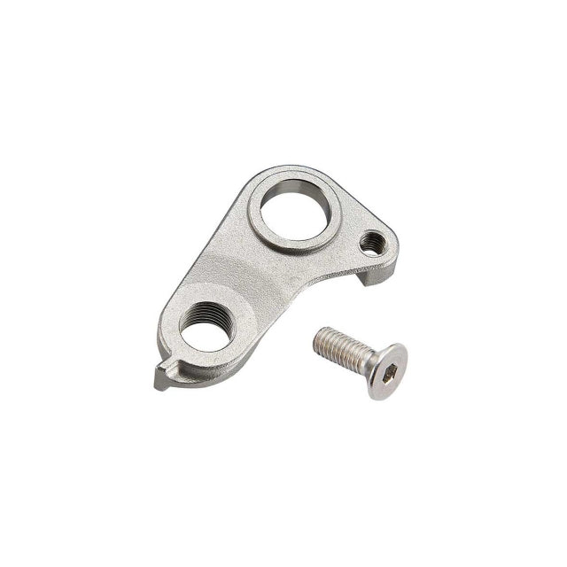 Derailleur Hanger