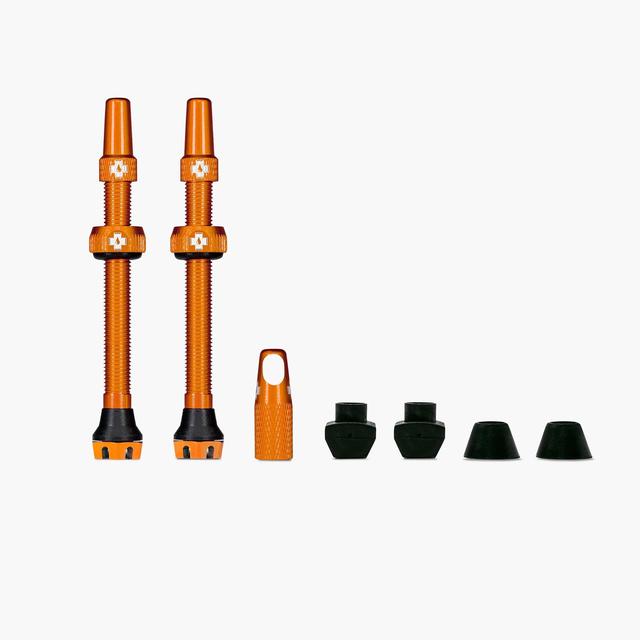 V2 Tubeless Valve TU4008